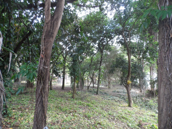 Imagem Imóvel à Venda, 3.200 m² em Protestantes - Votorantim
