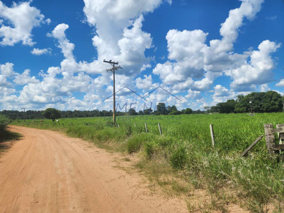Imagem Fazenda à Venda, 9 m² em Santa Tereza - Pirassununga Imagem Fazenda à Venda, 9 m² em Santa Tereza - Pirassununga