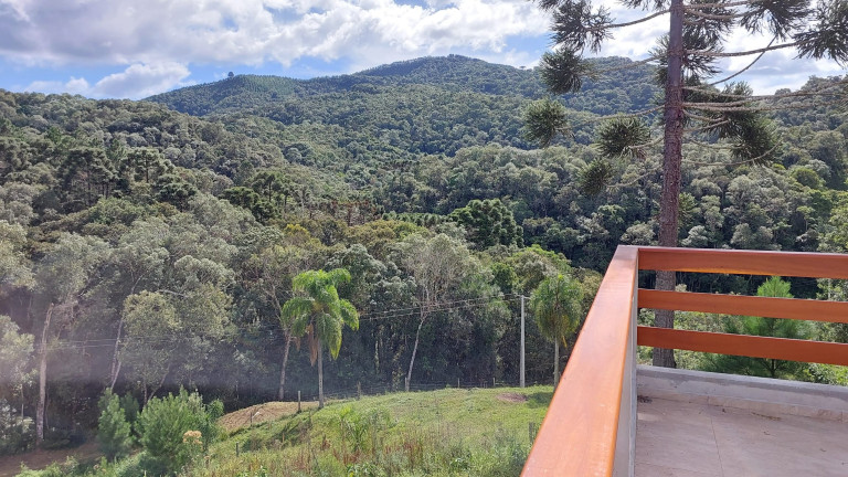 Imagem Chácara com 6 Quartos à Venda, 1 m² em Felpudo - Campo Largo