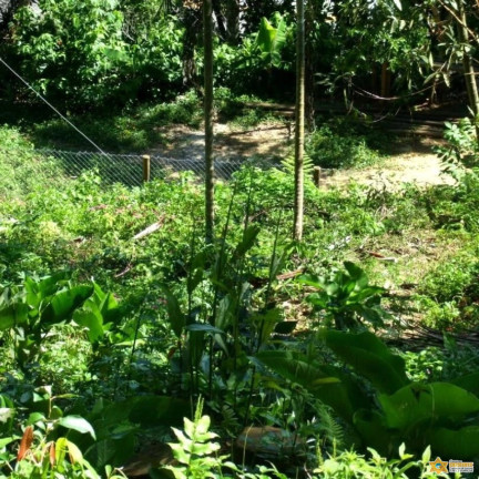 Imagem Terreno à Venda, 1.560 m² em Enseada - Ubatuba