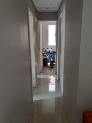 Imagem Apartamento com 3 Quartos à Venda, 65 m² em Jardim ísis - Cotia Imagem Apartamento com 3 Quartos à Venda, 65 m² em Jardim ísis - Cotia