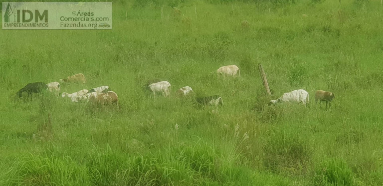 Imagem Chácara à Venda, 768 m² em Paraibuna Imagem Chácara à Venda, 768 m² em Paraibuna