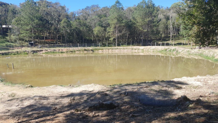 Imagem Imóvel com 4 Quartos à Venda, 38.704 m² em Chimboveiro - Mandirituba