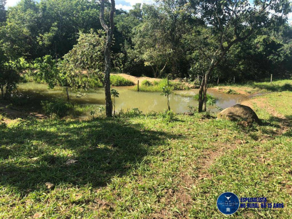 Imagem Fazenda à Venda, 52 m² em Zona Rural - Senador Canedo Imagem Fazenda à Venda, 52 m² em Zona Rural - Senador Canedo