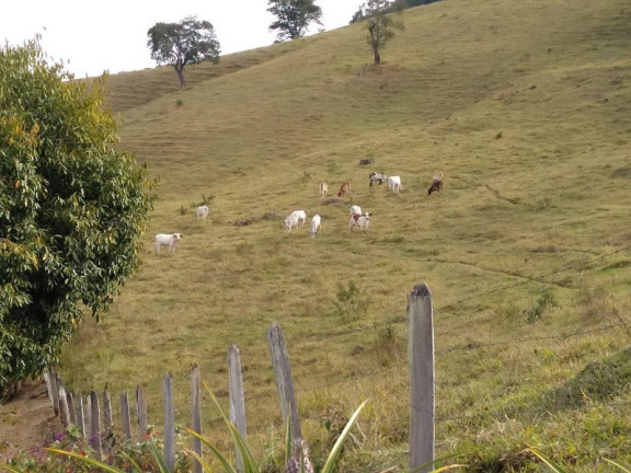 Imagem Imóvel à Venda, em Silveiras Imagem Imóvel à Venda, em Silveiras