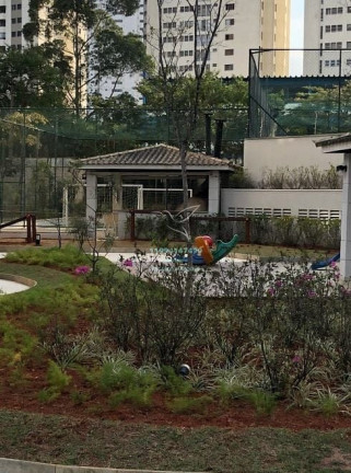 Imagem Apartamento com 3 Quartos à Venda, 64 m² em Vila Suzana - São Paulo Imagem Apartamento com 3 Quartos à Venda, 64 m² em Vila Suzana - São Paulo