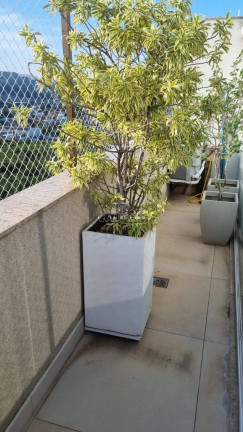 Imagem Cobertura com 3 Quartos à Venda, 170 m² em Barra Olímpica - Rio De Janeiro