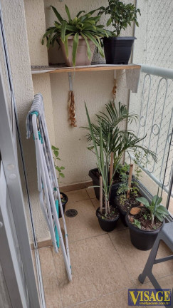 Imagem Apartamento com 2 Quartos à Venda, em Vila Aprazivel - Jacareí Imagem Apartamento com 2 Quartos à Venda, em Vila Aprazivel - Jacareí