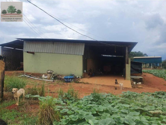 Imagem Fazenda à Venda, 2.000 m² em Zona Rural - Perdizes Imagem Fazenda à Venda, 2.000 m² em Zona Rural - Perdizes