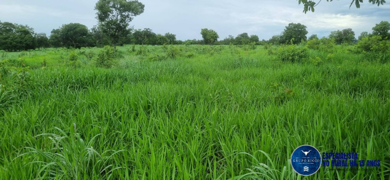 Imagem Fazenda à Venda, 30 m² em Setor Central - Crixás Imagem Fazenda à Venda, 30 m² em Setor Central - Crixás