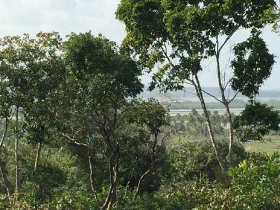 Imagem Terreno à Venda, 35 m² em Piau - Tibau Do Sul
