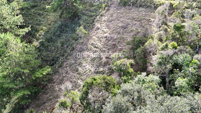 Imagem Terreno à Venda, 1.245 m² em Região Do Atalaia - Campos Do Jordão Imagem Terreno à Venda, 1.245 m² em Região Do Atalaia - Campos Do Jordão
