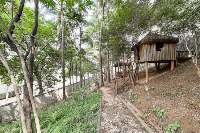 Imagem Apartamento com 3 Quartos à Venda, 211 m² em Vila Andrade - São Paulo