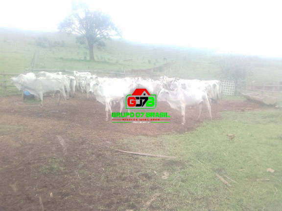 Imagem Fazenda à Venda, 13 m² em Centro - Paraibuna Imagem Fazenda à Venda, 13 m² em Centro - Paraibuna