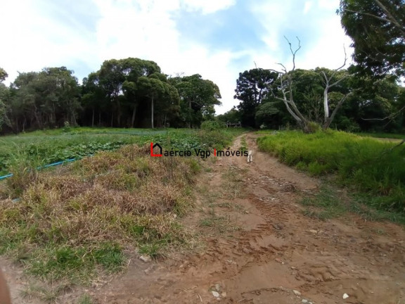 Imagem Imóvel com 2 Quartos à Venda, 133.100 m² em Ibiúna - Ibiúna