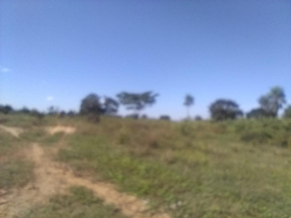 Imagem Fazenda à Venda, 1.200 m² em Rural - Corumbá Imagem Fazenda à Venda, 1.200 m² em Rural - Corumbá