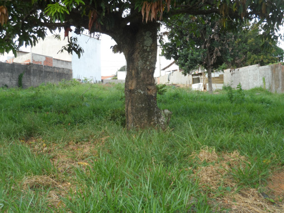 Imagem Imóvel à Venda, 4.100 m² em Lopes De Oliveira - Sorocaba