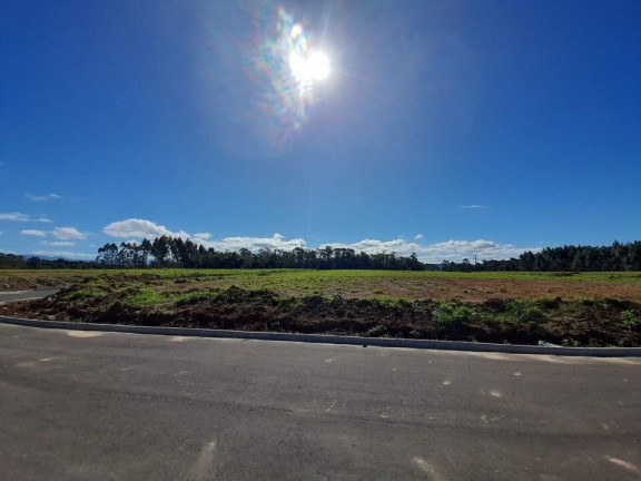 Imagem Terreno à Venda, 360 m² em Primeira Linha - Criciúma Imagem Terreno à Venda, 360 m² em Primeira Linha - Criciúma