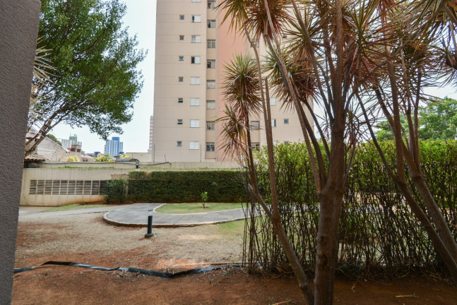 Imagem Apartamento com 2 Quartos à Venda, 46 m² em Chácara Califórnia - São Paulo