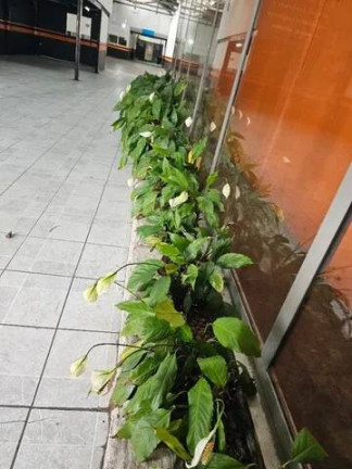 Imagem Galpão à Venda, 400 m² em Centro - Jundiaí Imagem Galpão à Venda, 400 m² em Centro - Jundiaí