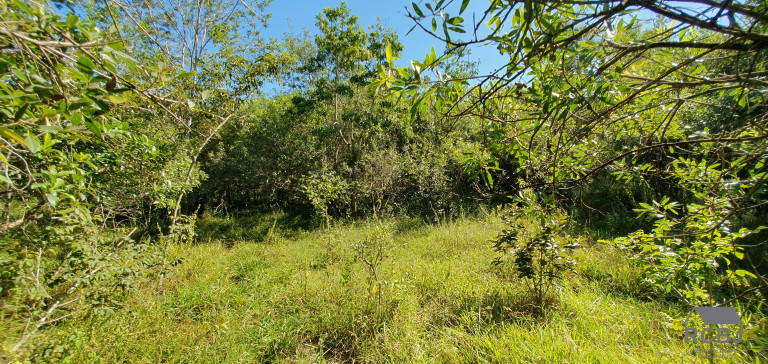 Imagem Terreno à Venda, 13 m² em área Rural De Esmeraldas - Esmeraldas Imagem Terreno à Venda, 13 m² em área Rural De Esmeraldas - Esmeraldas