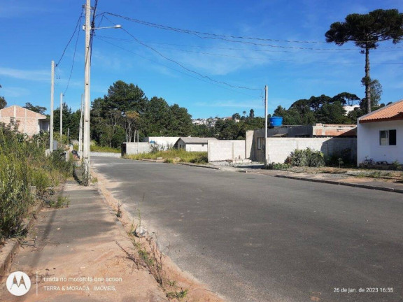 Imagem Terreno em Condomínio à Venda, 220 m² em São Dimas - Colombo Imagem Terreno em Condomínio à Venda, 220 m² em São Dimas - Colombo