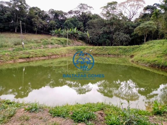 Imagem Imóvel com 3 Quartos à Venda, 56.000 m² em Cocuera - Mogi Das Cruzes
