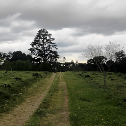 Imagem Imóvel com 4 Quartos à Venda, 150 m² em Vila Seca - Caxias Do Sul