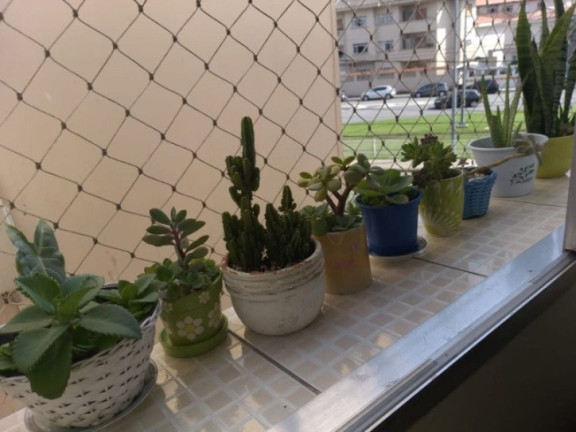 Imagem Apartamento com 3 Quartos à Venda, 105 m² em Gonzaga - Santos