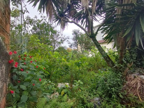 Imagem Terreno à Venda, 1.000 m² em Alto - Teresópolis Imagem Terreno à Venda, 1.000 m² em Alto - Teresópolis