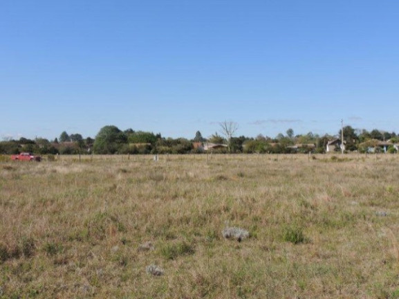 Imagem Terreno à Venda, 1.000 m² em Morro Grande - Viamão