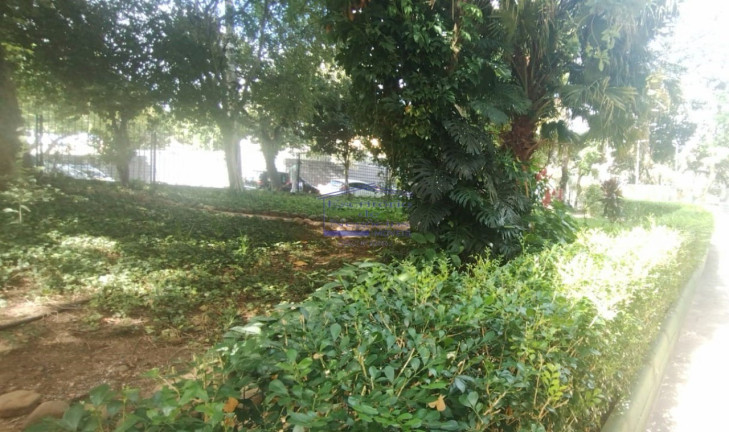 Imagem Imóvel com 3 Quartos à Venda, 67 m² em Petrópolis - Porto Alegre