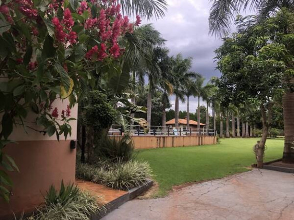 Imagem Chácara com 2 Quartos à Venda, 100 m² em Tucunaré - Alvorada Do Sul Imagem Chácara com 2 Quartos à Venda, 100 m² em Tucunaré - Alvorada Do Sul