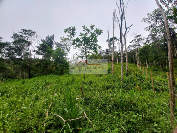 Imagem Terreno à Venda, 1.200 m² em Centro - Juquitiba Imagem Terreno à Venda, 1.200 m² em Centro - Juquitiba