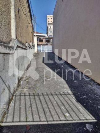 Casa com 4 Quartos à Venda, 300 m² em Vila Maria Alta - São Paulo