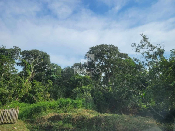 Terreno à Venda,  em Quinta Dos Açorianos - Barra Velha