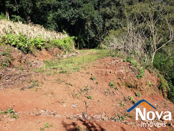 Imagem Imóvel à Venda, 6.862 m² em Vila Olinda - Nova Petrópolis