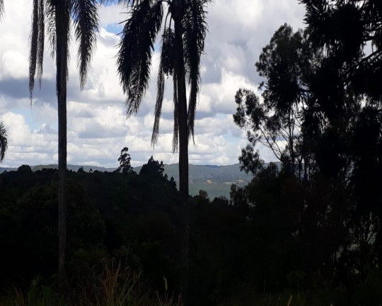 Imagem Imóvel à Venda, 391 m² em Pinhal Alto - Nova Petrópolis