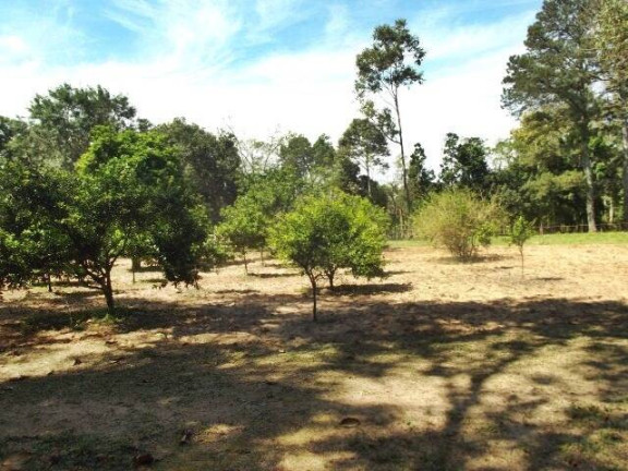 Imagem Chácara com 1 Quarto à Venda, 11 m² em águas Claras - Viamão