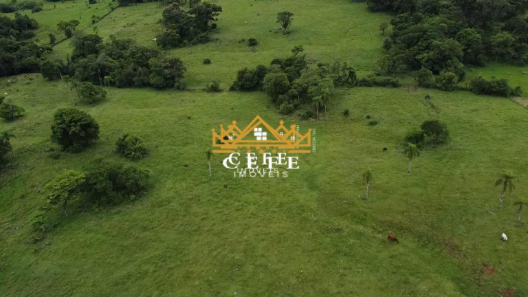Imagem Imóvel à Venda, 20 m² em Zona Rural - Igrejinha Imagem Imóvel à Venda, 20 m² em Zona Rural - Igrejinha