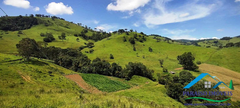 Imagem Chácara à Venda, 24 m² em Centro - Paraisópolis Imagem Chácara à Venda, 24 m² em Centro - Paraisópolis