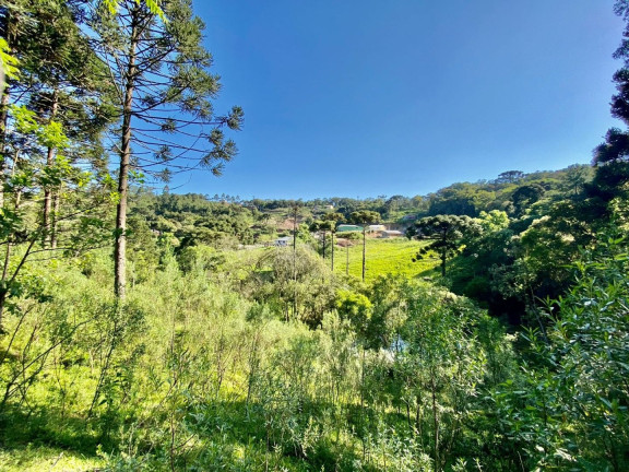 Imagem Fazenda à Venda, 220 m² em Boichininga - Almirante Tamandare Imagem Fazenda à Venda, 220 m² em Boichininga - Almirante Tamandare