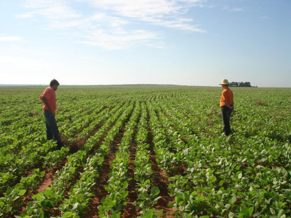 Imagem Fazenda à Venda, 1.614 m² em Rural - Paranhos Imagem Fazenda à Venda, 1.614 m² em Rural - Paranhos