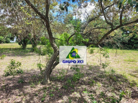 Imagem Chácara à Venda, 2.500 m² em Parque Valinhos - Valinhos Imagem Chácara à Venda, 2.500 m² em Parque Valinhos - Valinhos