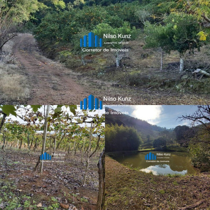 Imagem Chácara à Venda, 26 m² em Pinto Bandeira Imagem Chácara à Venda, 26 m² em Pinto Bandeira
