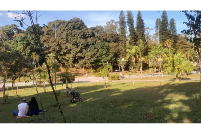 Imagem Casa com 3 Quartos à Venda, 160 m² em Vila Monumento - São Paulo Imagem Casa com 3 Quartos à Venda, 160 m² em Vila Monumento - São Paulo