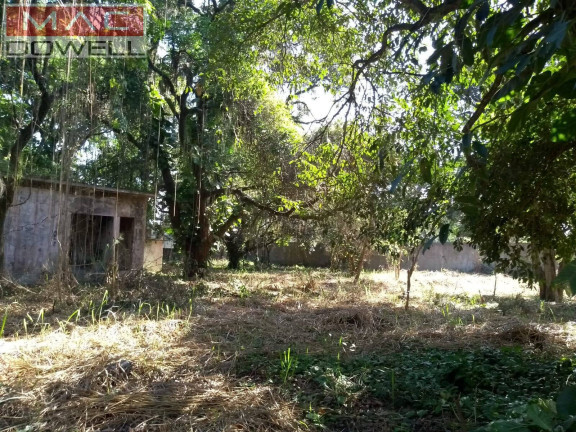 Imagem Terreno à Venda, 3.000 m² em Marambaia / São Gonçalo / Rj - São Gonçalo Imagem Terreno à Venda, 3.000 m² em Marambaia / São Gonçalo / Rj - São Gonçalo