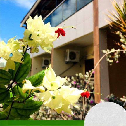 Imagem Imóvel Comercial à Venda, 1.044 m² em Barra Do Cunhaú - Canguaretama Imagem Imóvel Comercial à Venda, 1.044 m² em Barra Do Cunhaú - Canguaretama
