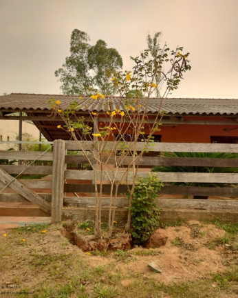 Chácara com 1 Quarto à Venda, 80 m² em Aponiã - Porto Velho