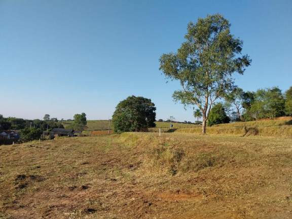 Imagem Chácara à Venda,  em Centro - Getulina